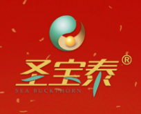 圣宝泰