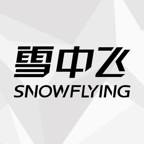 雪中飞