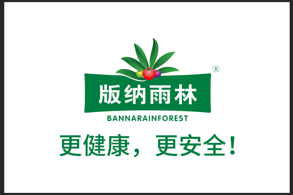 版纳雨林