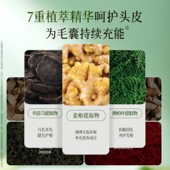 卓蓝雅生姜防脱洗发水800ml+美容发膜250ml