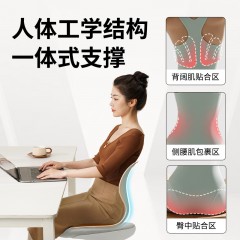 和正护腰坐垫HZ-CS-2  6921311511877  偏远另算运费