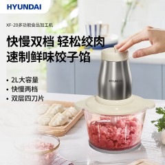 HYUNDAI多功能食品加工机（绞肉机）XF-20  6923461718328