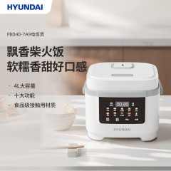 HYUNDAI智能电饭煲FBD40-7A9  4L