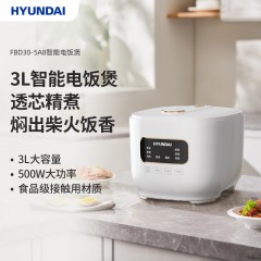 HYUNDAI智能电饭煲FBD30-5A8  3L  6923461718458