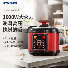 HYUNDAI电压力锅QT-X5Y50C  5L  6977778240294