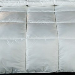 雅莉格丝（Elegance）羽绒丝保暖冬被白色 4斤（EHT67）