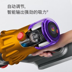 停产下市 戴森Dyson V12 Detect Slim Total Clean 轻量无线吸尘器 除螨宠物家庭适用 新疆西藏不发货