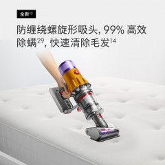 停产下市 戴森Dyson V12 Detect Slim Total Clean 轻量无线吸尘器 除螨宠物家庭适用 新疆西藏不发货