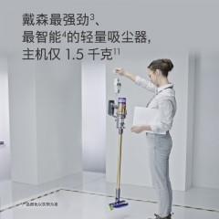 停产下市 戴森Dyson V12 Detect Slim Total Clean 轻量无线吸尘器 除螨宠物家庭适用 新疆西藏不发货