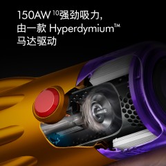 停产下市 戴森Dyson V12 Detect Slim Total Clean 轻量无线吸尘器 除螨宠物家庭适用 新疆西藏不发货