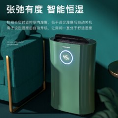 英国奥戈那（OGNAL）除湿机家用办公室卧室抽湿机静音干衣除湿器大面积除潮防潮地下室吸湿回南天神器OL24N