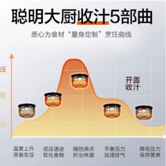 苏泊尔 电压力锅 SY-50YC503D  6950610222993 新疆西藏内蒙宁夏青海不发货