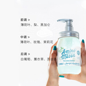 阿蜜浓梅森 氨基研薄荷清爽护两瓶装 450ml*2（新疆西藏不发）