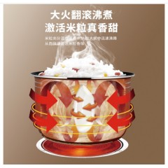 艾贝丽 5.0L 低糖饭煲 ABL-FB50 浅绿色（新疆，西藏，内蒙古，青海，甘肃，宁夏不发货）