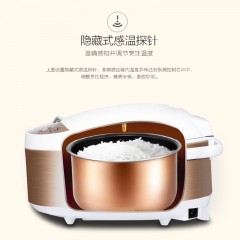 美的 电脑式电饭煲 MB-FD4019A  860W  6939962742823