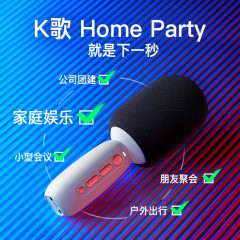 唱吧K歌宝百灵鸟麦克风C10  新疆、西藏、内蒙、疫情停发地区不发货