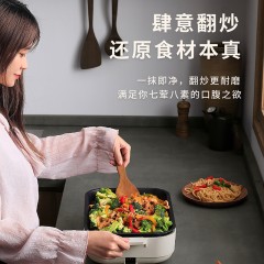 艾贝丽多功能料理锅 ABL-LLG27  6972149931634  新疆西藏内蒙甘肃宁夏青海不发货