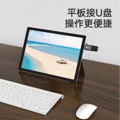 毕亚兹 OTG数据转接头 USB-C转换器  A24