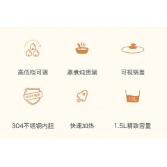 nerf电煮锅ZCW-DZ11  新疆、西藏不发