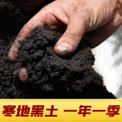 蒲香农家   东北白米 5KG  编织袋包装