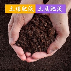 奉粮  五常稻品香米 10KG