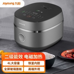 九阳 4.0L铁釜电饭煲 智能低糖IH系列 F-40TD01 太空灰 6953349834093