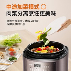 九阳5L电压力煲 璨光金 Y-50C29