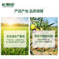 长寿花  橄榄玉米食用植物调和油5L*1   6926136720794