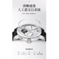 海鸥表(Seagull) 巨匠系列男士手表 自动机械手表男士 腕表819.17  日历星期镂空飞轮6122
