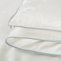 花花公子 蚕丝被-皇家公园 HCSBHJ01 200*230cm  2000g 6974085460414
