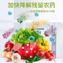 舟迹 冰箱消毒除味净化器 ZJ-XD001 白色