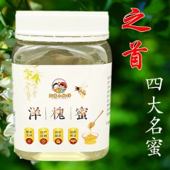 阿龙与阳仔  洋槐蜜 500g