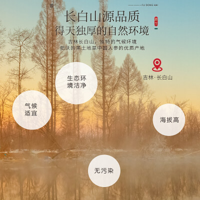 福东海  西洋参大片珍藏礼盒200克