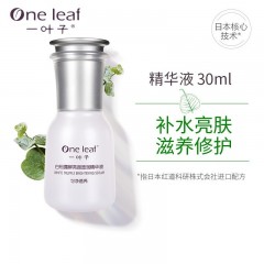 一叶子白松露亮颜透润精华液30ml