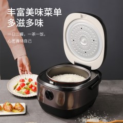 龙的 电饭煲 LD-FS301A 3.0L