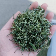 基诺古茶 滇绿茶（明前茶）1袋*250克