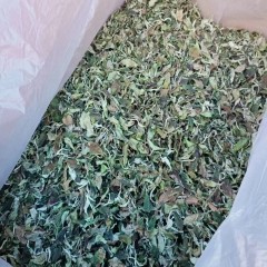 基诺古茶 古树白茶 200克