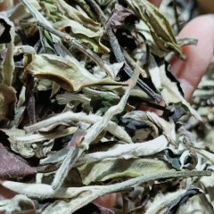 基诺古茶 古树白茶 1袋*250克