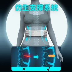 和正护腰HZ-Y10  6921311513260    偏远另算运费