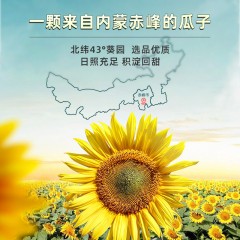 洽洽 葵珍礼盒黑金罐三分熟/八分熟188g*6罐 下单请备注