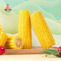 傻小胖 6只装 香糯玉米 400g/袋*3 6970445511017  巴彦淖尔产