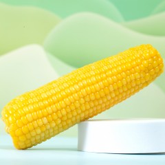 傻小胖 香糯玉米礼盒 2000g/箱  巴彦淖尔产