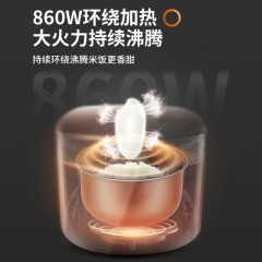 九阳 电饭煲 5升 F50FZ-F561 银色  6953349836509