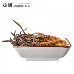 贡极 贡享天成冬虫夏草礼盒（约9-10g*40支）