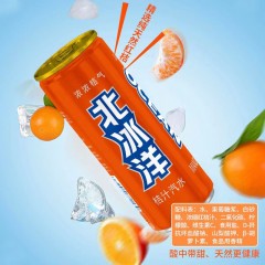 北冰洋 汽水（桔汁）1箱*24听*330ml