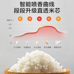 美的 电脑式电饭煲 MB-FS3073  600W  3L 6939962747590