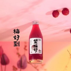 好望水 多口味玻璃瓶组合装（望梅好300ml*2+望山楂300ml*2+望桃花300ml*1+望杏福300ml*1）