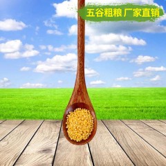 山满田 黄小米 400克
