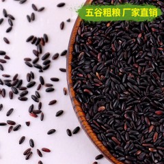 山满田 黑米 400克