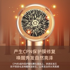 鹰伦 优家冷暖吹风机 SKT-Y8811  6974389021533